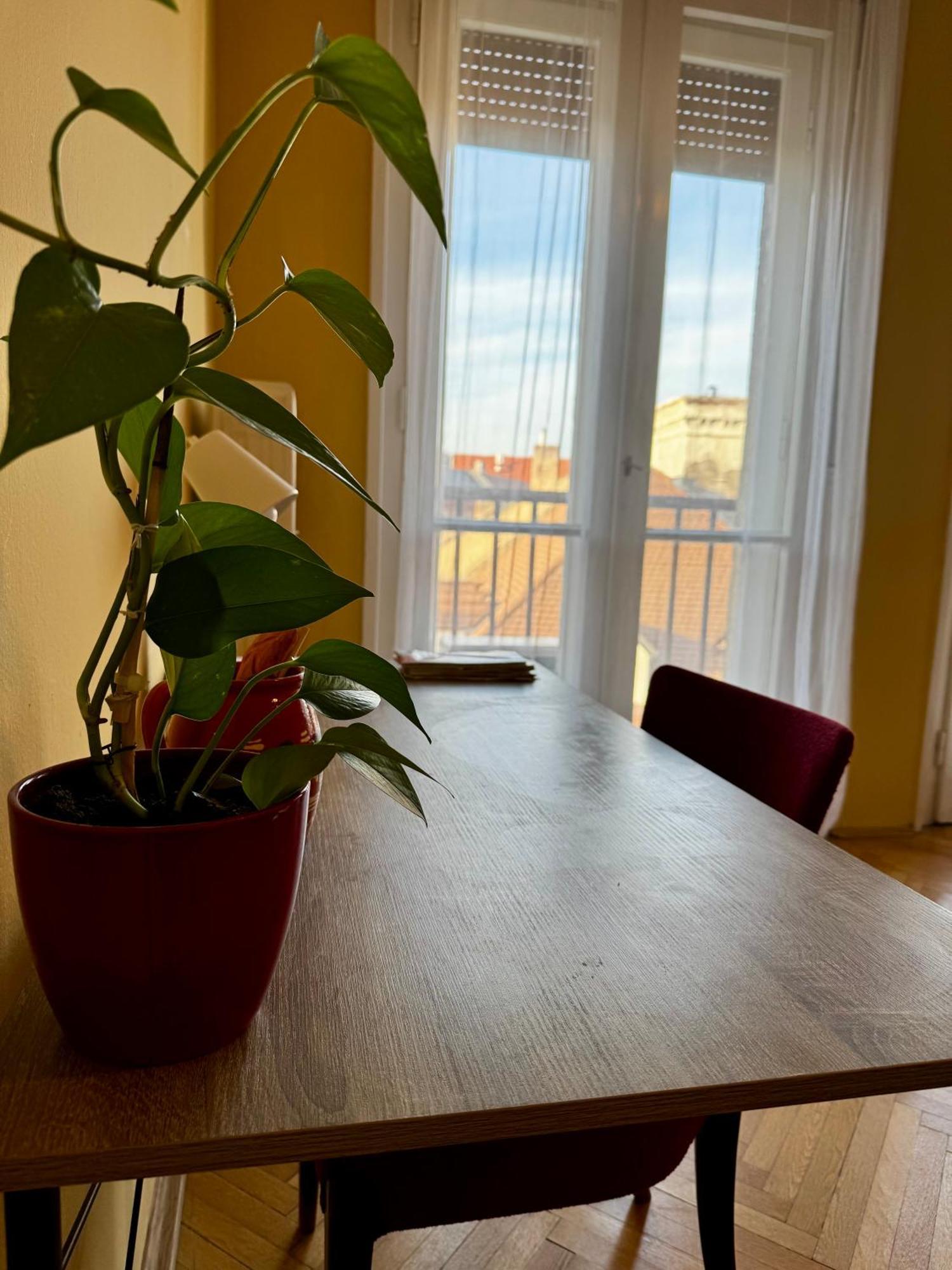 Extralarge Queen Room In The Heart Of Bratislava With Terrace מראה חיצוני תמונה